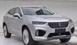 长城坦3000最新爆料,硬核越野利器，性能与颜值双提升